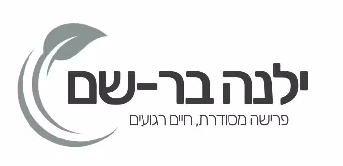 צילום-מסך-2025-12-02-ב-19.56.53.png